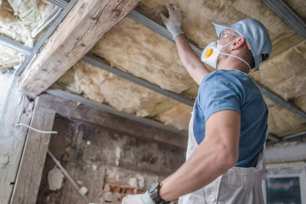 Professional Insulation Contractor in Mount Airy, GA